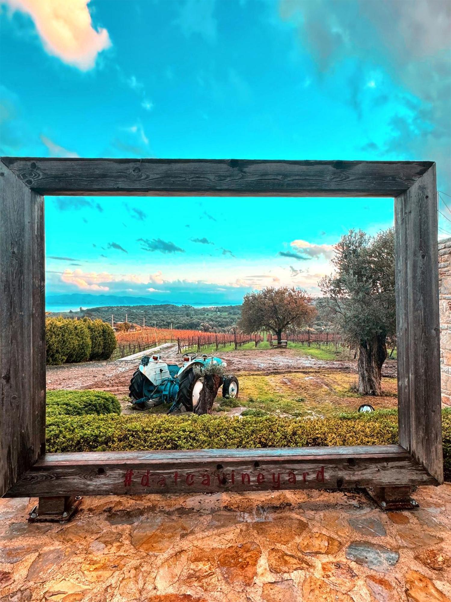 Datca Vineyard Guesthouse Buitenkant foto