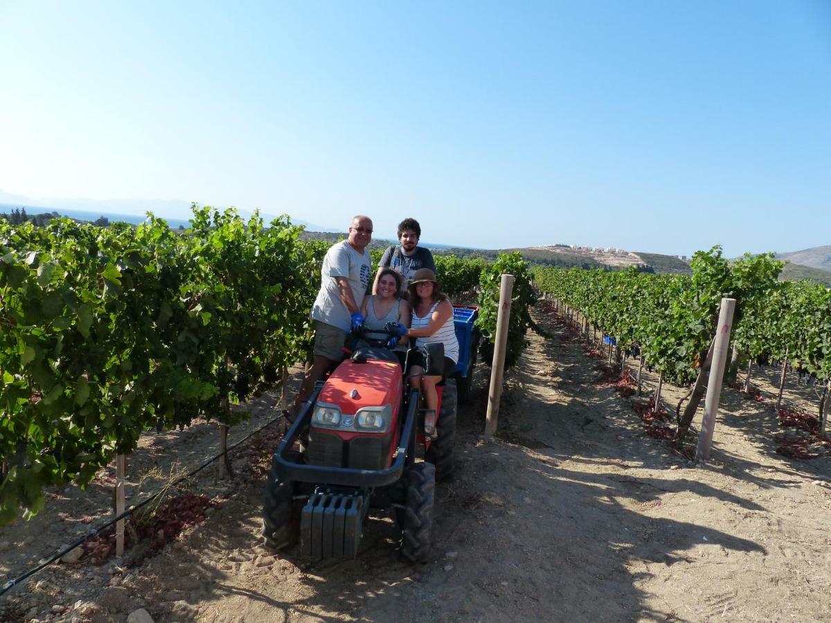 Datca Vineyard Guesthouse Buitenkant foto