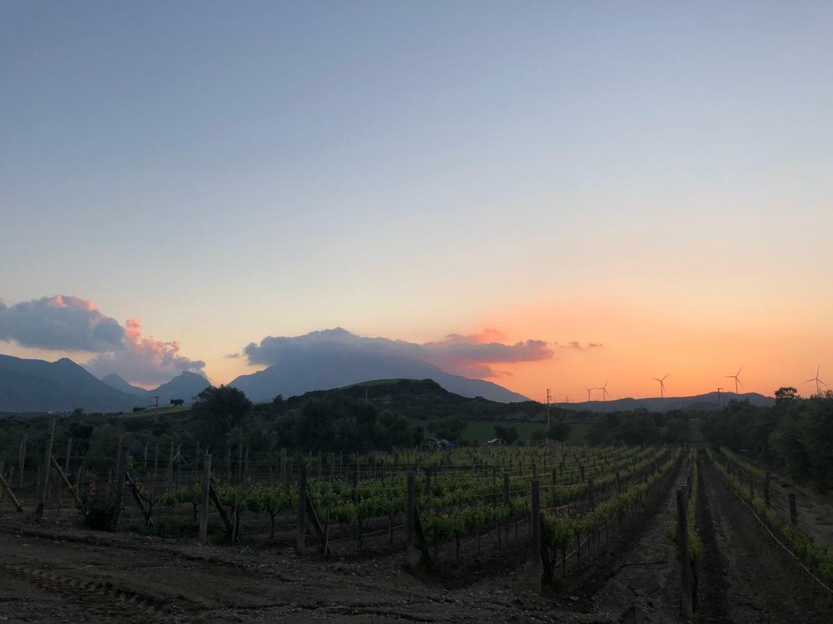 Datca Vineyard Guesthouse Buitenkant foto
